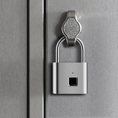 Fingerprint lock